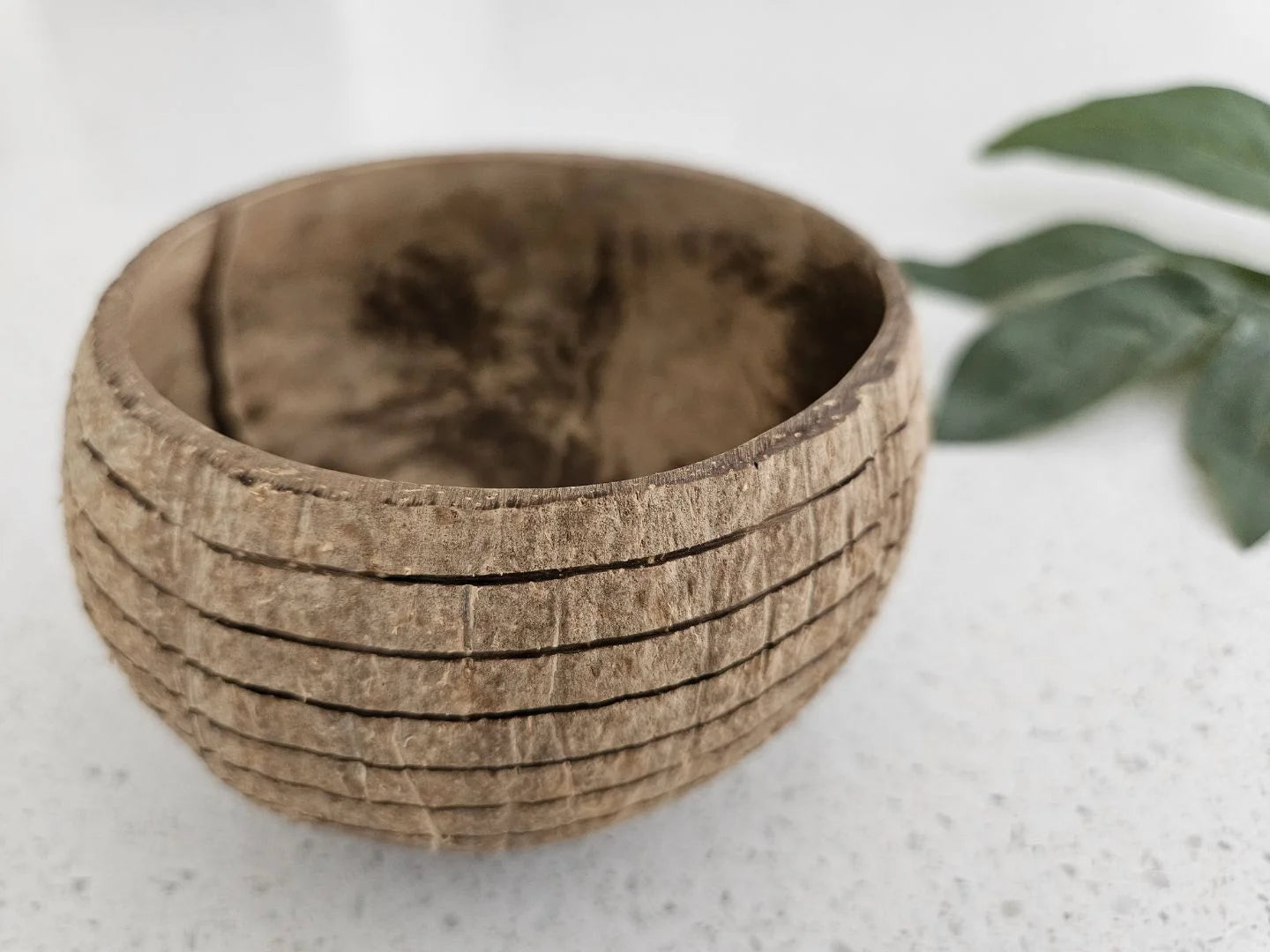 Dune Bowl